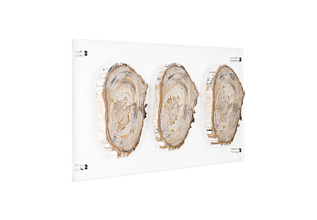 Floating Petrified Triple Slice Wall Art