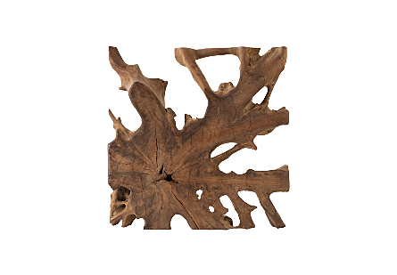 Teak Root Sculpture