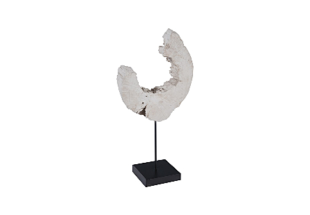 Eroded Wood C Sculpture on Stand ,Assorted