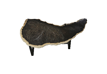 Petrified Wood Coffee Table Black Iron Base