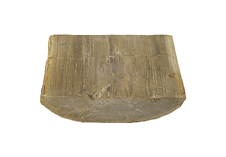 Petrified Wood Table