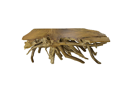 Teak Root Console Table