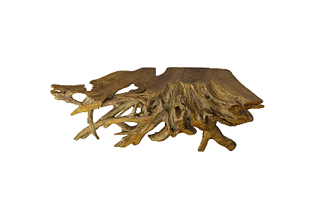 Teak Root Console Table Natural