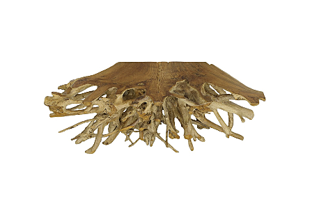 Teak Root Console Table Natural