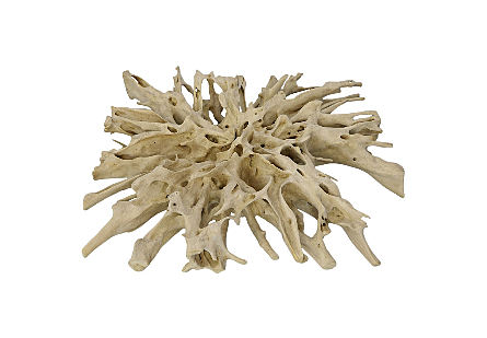 Teak Root Coffee Table Bleached