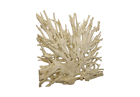 Teak Root Sculpture Bleached