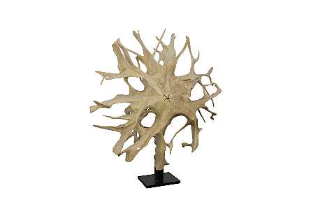 Teak Root Sculpture Bleached