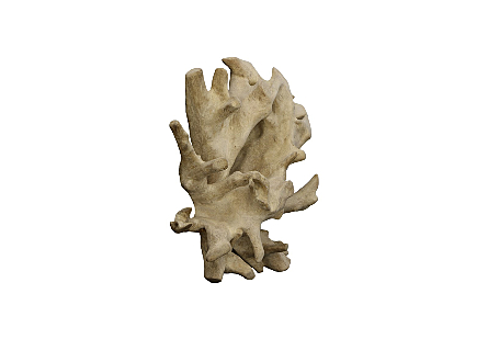 Teak Root Wall Sculpture Bleached