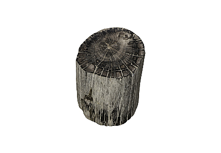 Petrified Wood Stool Polished