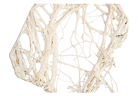 Teak Root Sculpture Bleached