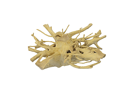 Teak Root Coffee Table Bleached, Round