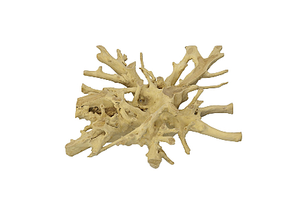 Teak Root Coffee Table Bleached, Square