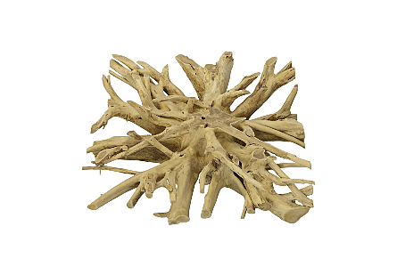 Teak Root Coffee Table Bleached, Square