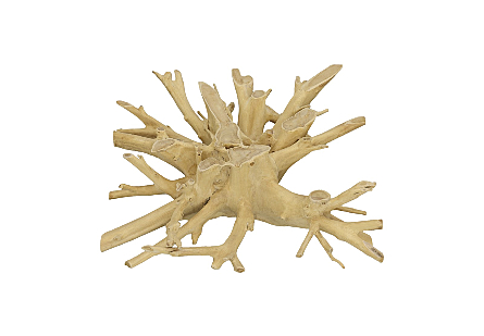 Teak Root Coffee Table Bleached, Square