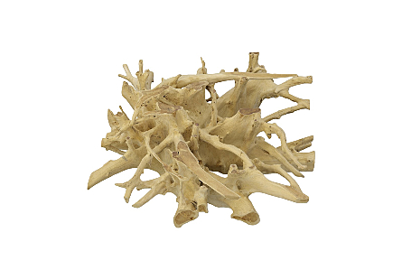 Teak Root Coffee Table Bleached, Square