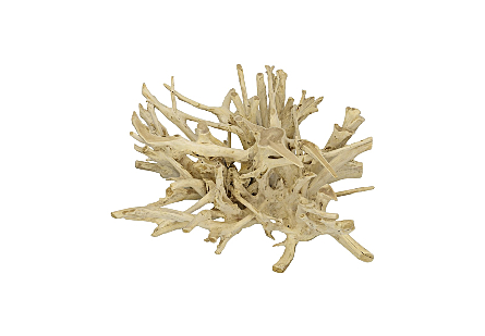 Teak Root Coffee Table Bleached, Square