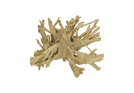 Teak Root Coffee Table Bleached, Square