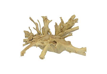 Teak Root Coffee Table Bleached, Square