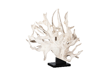 Teak Root Sculpture Bleached