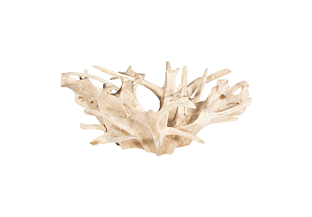 Teak Root Coffee Table Bleached, With Glass