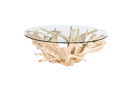 Teak Root Coffee Table Bleached, With Glass
