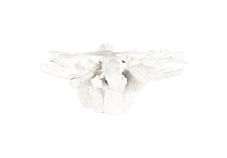 Teak Root Coffee Table Bleached