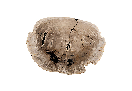 Petrified Wood Coffee Table Black Metal Base