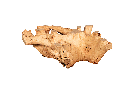 Teak Root Coffee Table Bleached, Round