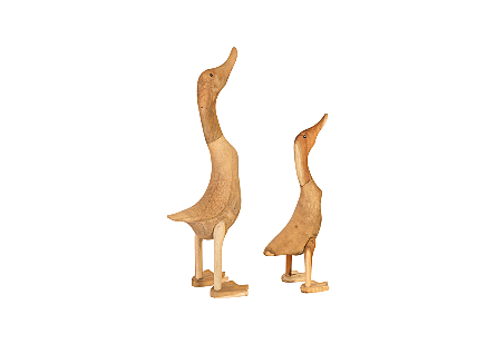 Wood Duck Set of 2