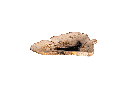 Petrified Wood Plate Assorted Color and Shape, SM