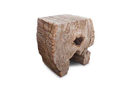 Petrified Wood LG Stool, Rough Sides, Flat Top