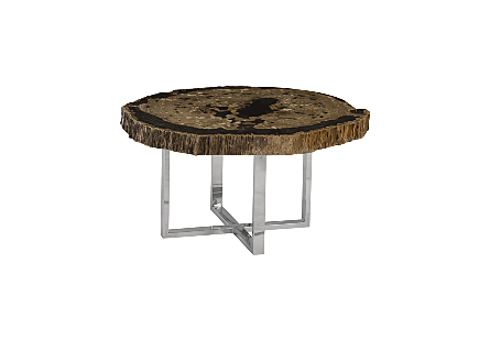 Petrified Wood Coffee Table Stainless Steel Base