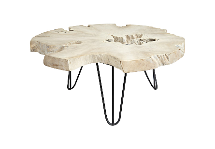  Bleached Slice Coffee Table, Iron Legs