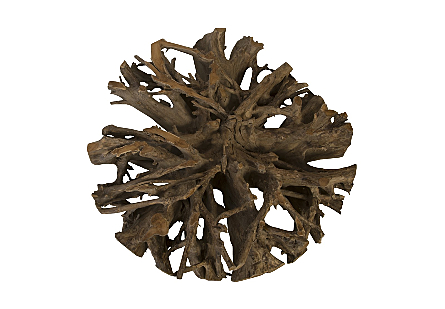 Teak Root Coffee Table