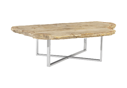 Petrified Coffee Table Stainless Steel Base