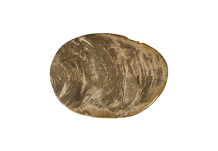 Petrified Wood Stool, Polished Cream Assorted, 15"-17" x 17"-19"h