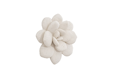 Laui Succulent Wall Art White Stone