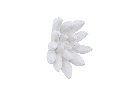 Compactum Succulent Wall Art, White Stone