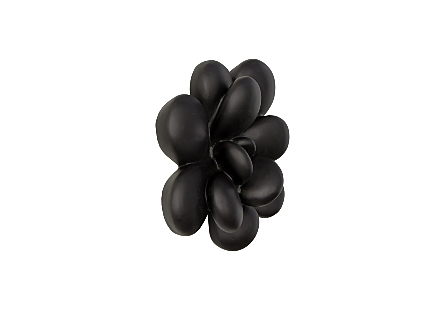 Oviferum Succulent Wall Art, Smooth Matte Black