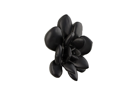 Laui Succulent Wall Art, Smooth Matte Black