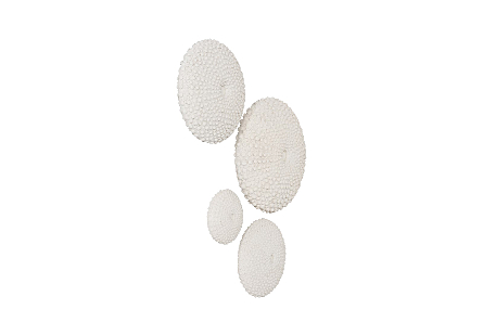 Sea Urchin Wall Art, Set Of 4