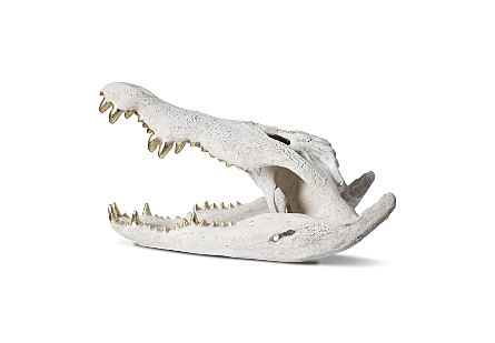 Crocodile Skull Roman Stone, Gold Leaf