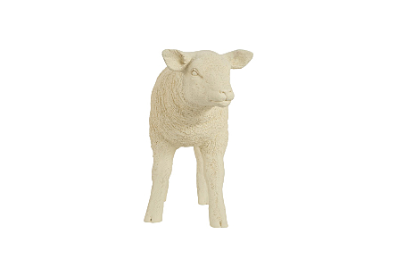 Texelaar Sheep Lamb, Cream