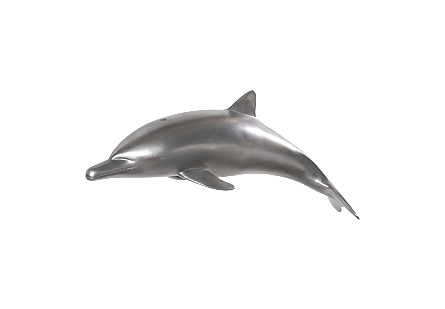 Dolphin Polished Aluminum