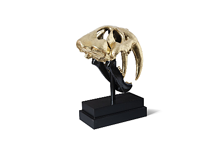 Saber Tooth Tiger Skull Black, Gold Leaf