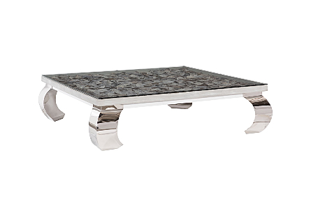 angled view of the Phillips Collection Shell Large Coffee Table with natural mollusk shells layered on the top inside a grey wood frame