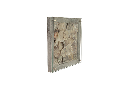 Shell Wall Tile w/Glass