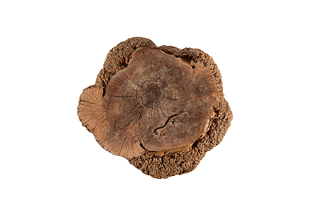 Freeform Dinin Table Base Burled, Natural