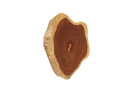 Pradoo Burled Wood Wall Decor