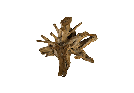 Teak Root Coffee Table Round